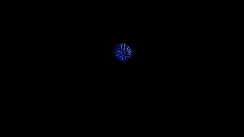 Blue Firework Sphere With Trail Exploding On Black Video stock 323144850