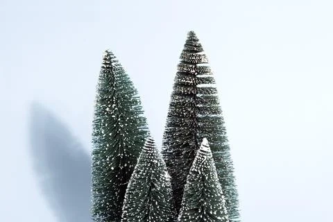 Blue firs Stock Photos