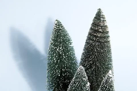 Blue firs Stock Photos