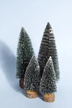 Blue firs Stock Photos