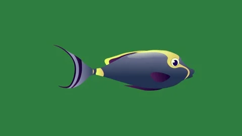 A blue fish on green background and yellow isolated isolated on green screen Stock-Footage 336890125