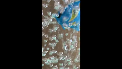 Blue Fish Moving Through Water Stock Footage 287159915