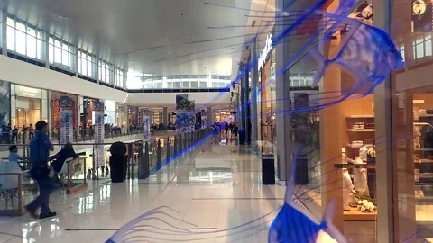 Blue Fish in Shopping Mall 스톡 동영상 145945342