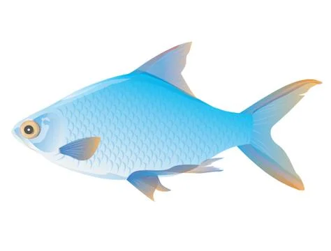 Blue fish on white background vector design Stock Illustration