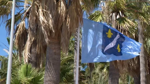 Blue Flag with Fleur de Lis Waving Near Palm Trees Stock Footage 340244073