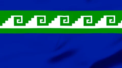 Blue flag with green and white geometric pattern design Vídeo Stock 343573237