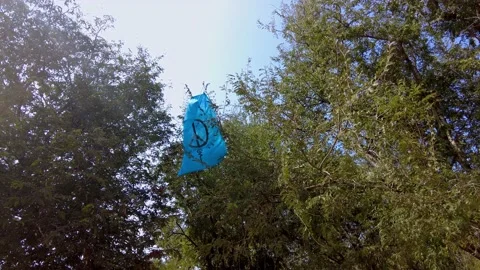 Blue flag hanging in the branches of trees, sign peace Stock Footage 150342628