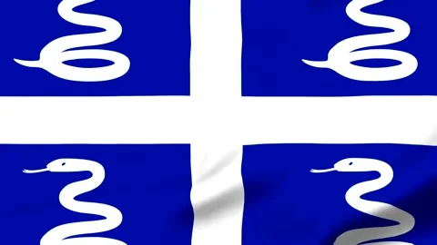 Blue flag with white cross and snake symbols waving in wind Video stock 343573241