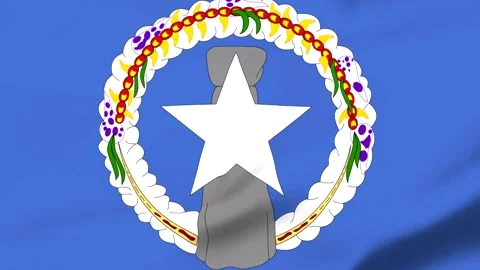 Blue flag with white star and colorful wreath design Vídeo Stock 343317215