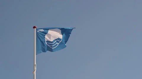 Blue flag in the wind, a guarantee for clean water Video stock 202250914