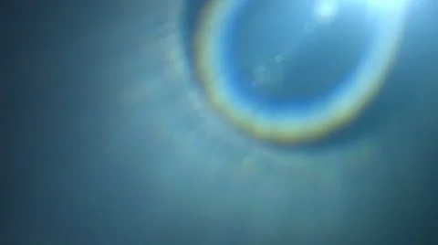 Blue flare Stock Footage 62806708