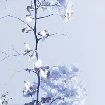 Blue floral composition Stock Photos