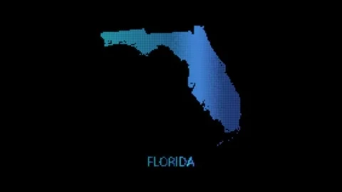 Blue Florida US State Map Particle Formation on Dark Background Stock Footage 338419378