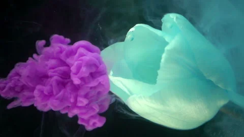 Blue Flower And Paints Stock Footage 94328604