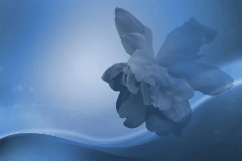 Blue Flower Background Stock Illustration