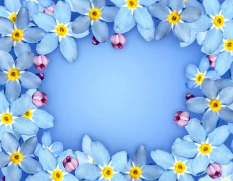 Blue flower frame Stock Photos