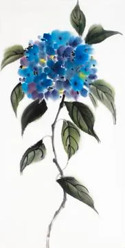 Blue flower hydrangeas Stock Illustration