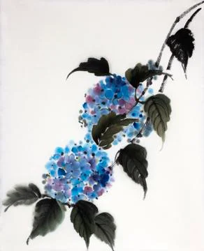 Blue flower hydrangeas Stock Illustration