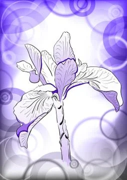 Blue flower Stock Illustration