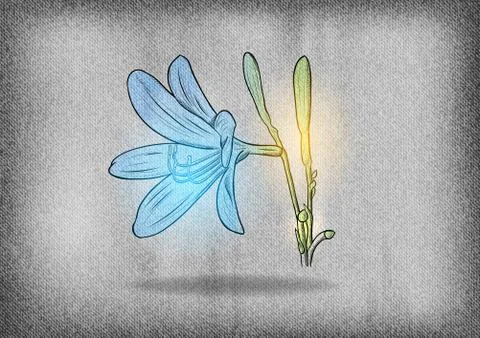 Blue flower Stock Illustration