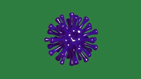 Blue flower on isolated on green screen background Stock Footage 336855940