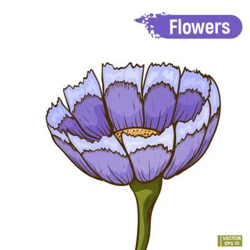 Blue flower isolated Иллюстрация