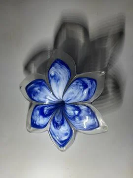 Blue flower Stock Photos