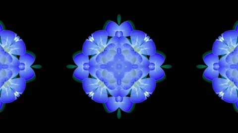 Blue flowers 스톡 동영상 48218532