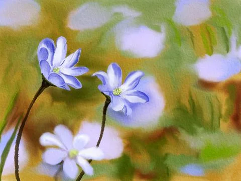 Blue flowers of liverleaf. Stock Illustration