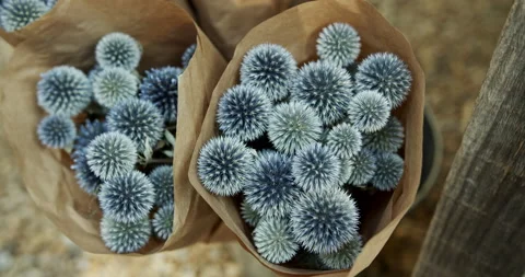 Blue flowers in paper Stock Footage 196984373