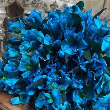 Blue flowers Stock Photos