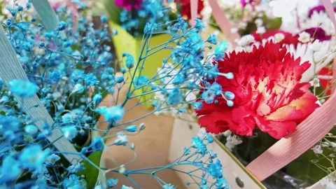 Blue Flowers With Red Carnations Vídeo Stock 344805009