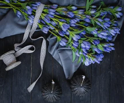 Blue flowers on the table Stock Photos