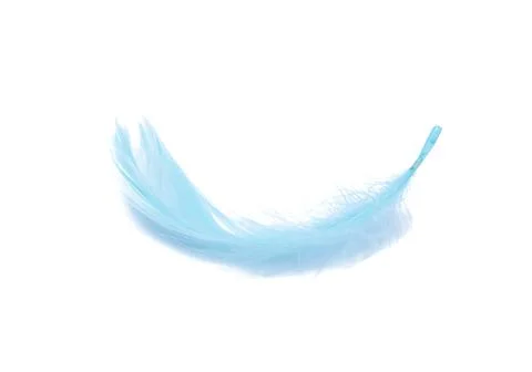 Blue fluffy feather soft isolated on the white studio background Foto stock
