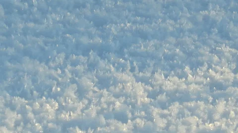 Blue fluffy snow and the trees and bushes, the setting sun. Stock Footage 64290237