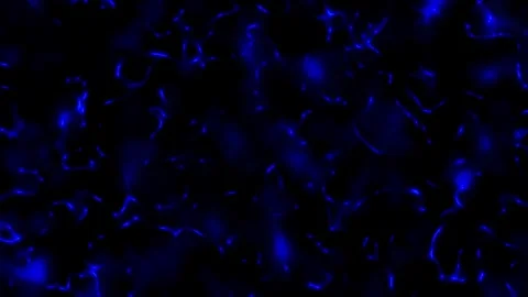 Blue Fluid Wave Background Loop Abstract Technology Motion Graphics Stock Footage 346219512