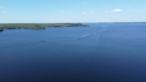 Blue 스톡 동영상 232510942