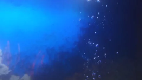 Blue  Stock Footage 246550502