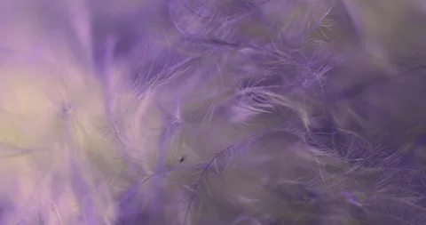 Blue. Video stock 277277655