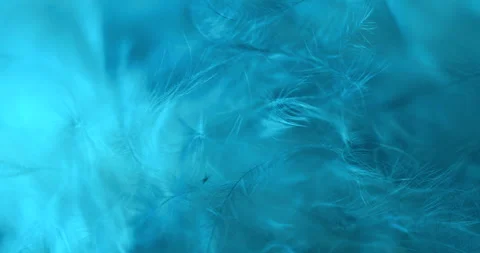 Blue. Video stock 277278411