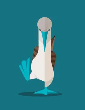 Blue-footed booby Stock Illustration