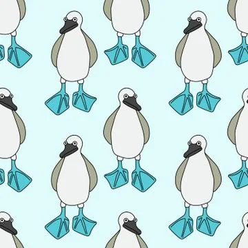 Blue-footed booby pattern Stock Illustration