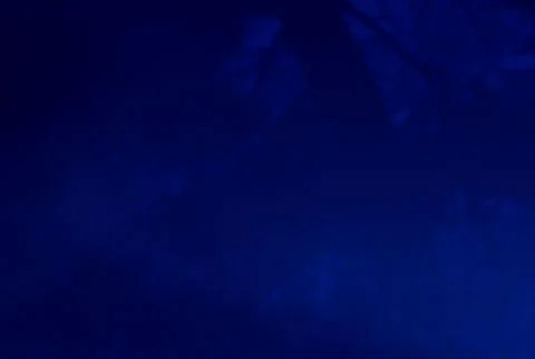 Blue forest abstract background Stock Photos