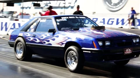 Blue Fox Body Launch Video stock 55415757