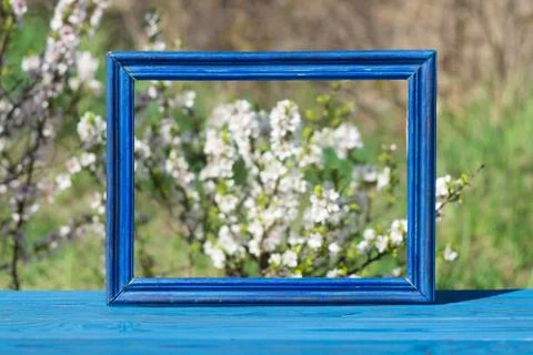Blue frame on a table of blue boards against the background of a flowering bu Stock Photos
