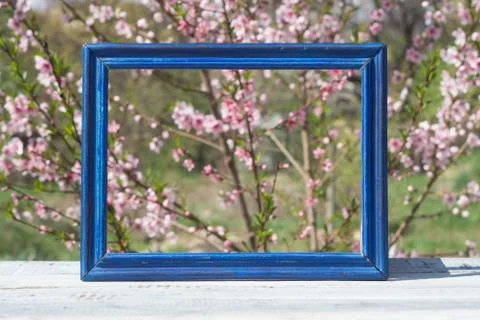 Blue frame on a table of blue boards against the background of a flowering bu Stock Photos