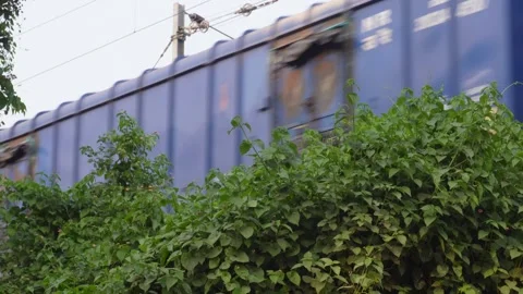 Blue Freight Train Framed by Lush Foliage Stock Footage 326147591