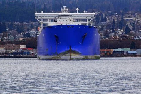 Blue freighter bow Stock Photos