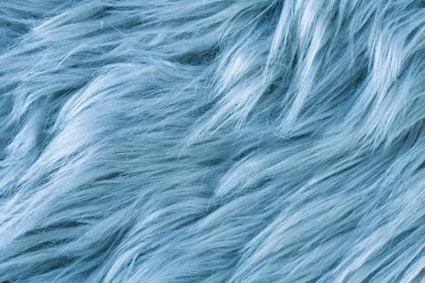 Blue fur texture top view. Blue sheepskin background. Fur pattern. Texture .. Stock Photos