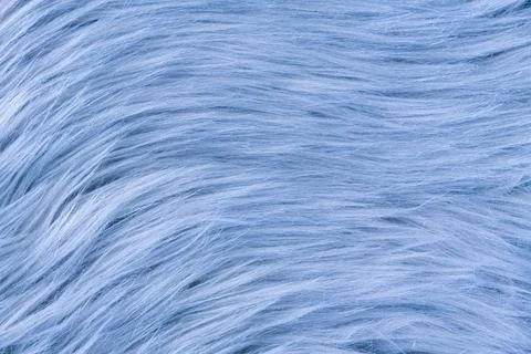 Blue fur texture top view. Blue sheepskin background. Fur pattern. Texture .. Stock Photos